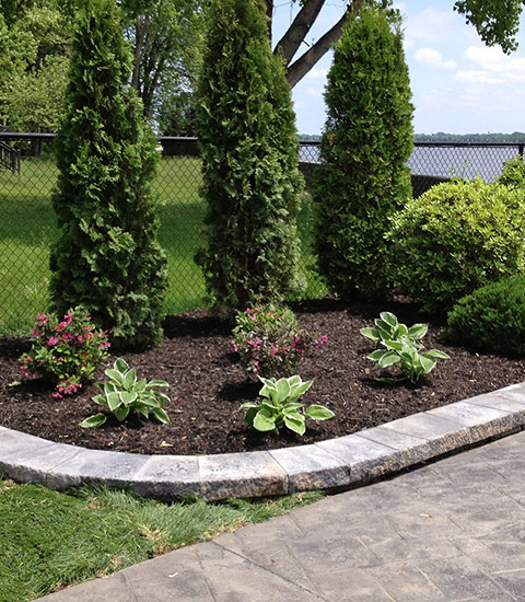 Terrassement, pose de cèdres, pose de tourbe